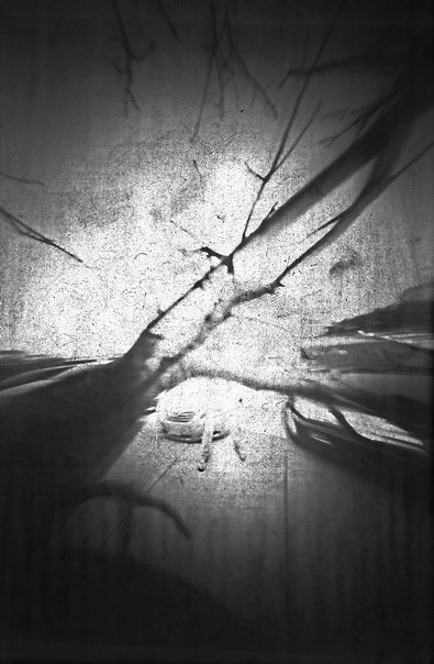 27001_1390360433602_6658346_n